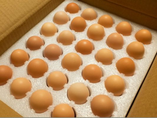 Fresh eggs in polystyrene packing box